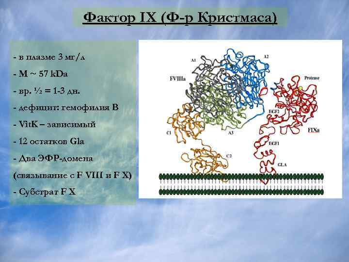 Их фактор 4. Фактор Кристмаса. Фактор Кристмаса функции. Фактор IX. Фактор Кристмаса норма.