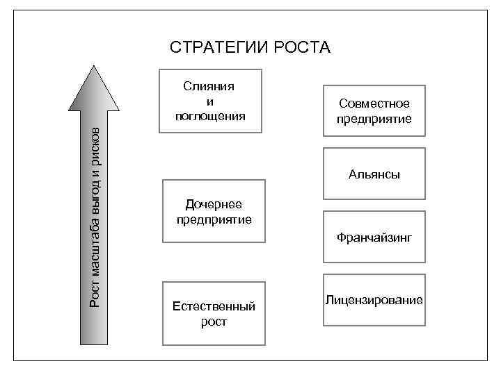 Внешняя стратегия. Стратегия роста. Стратегии слияния и поглощения.