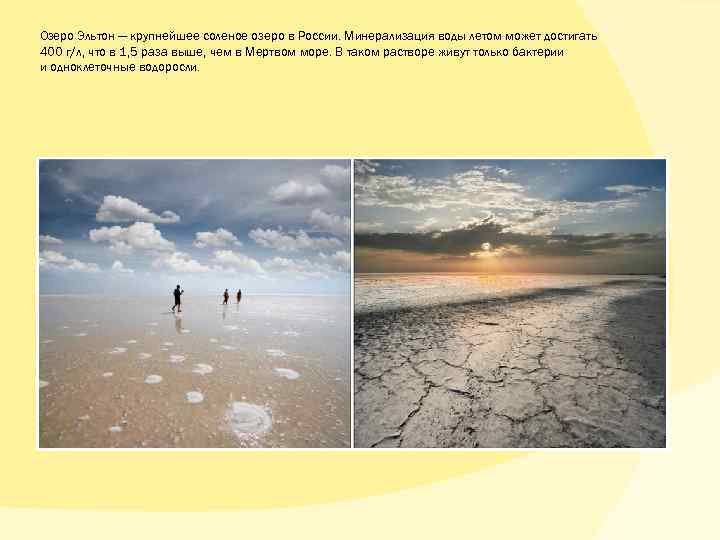 Озеро Эльтон — крупнейшее соленое озеро в России. Минерализация воды летом может достигать 400