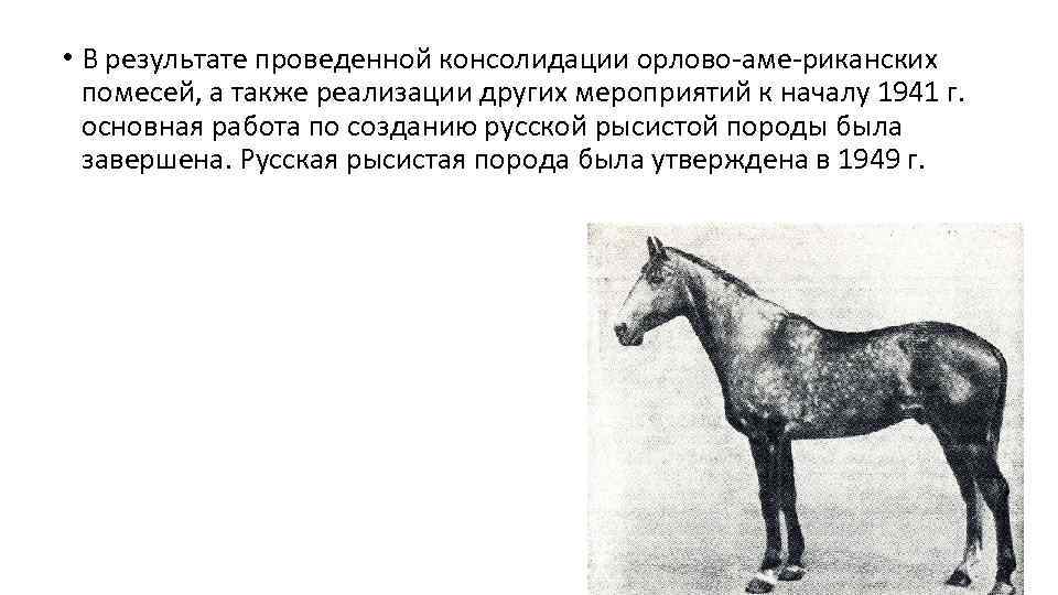  • В результате проведенной консолидации орлово-аме-риканских помесей, а также реализации других мероприятий к