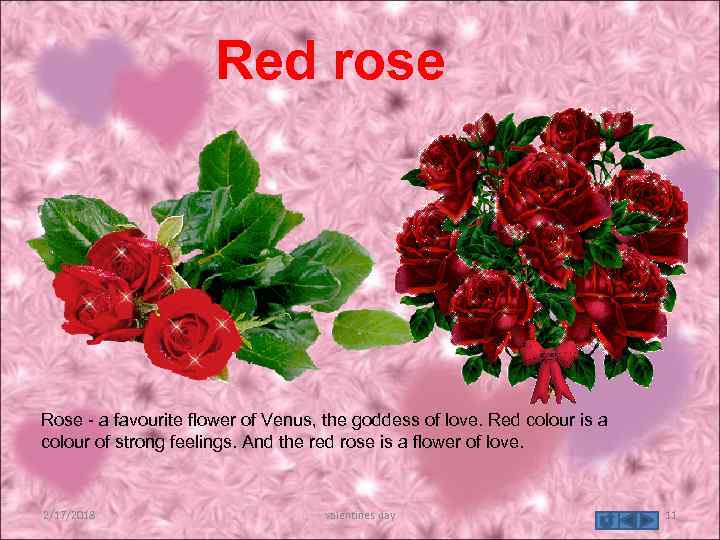 Red rose Rose - a favourite flower of Venus, the goddess of love. Red