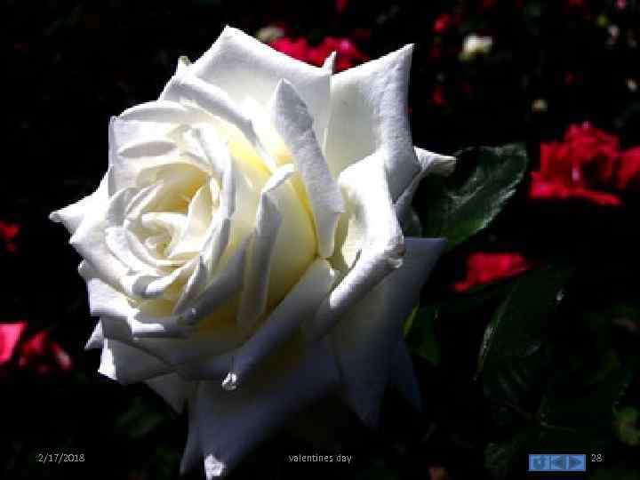 2/17/2018 valentines day 28 
