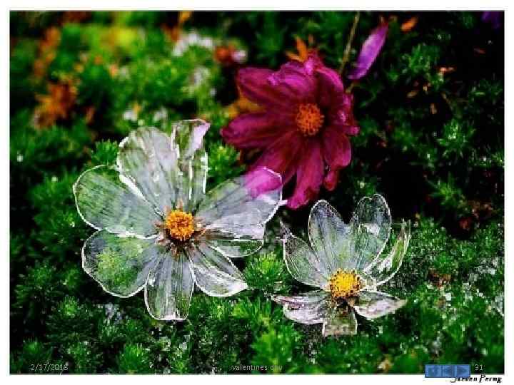 2/17/2018 valentines day 31 