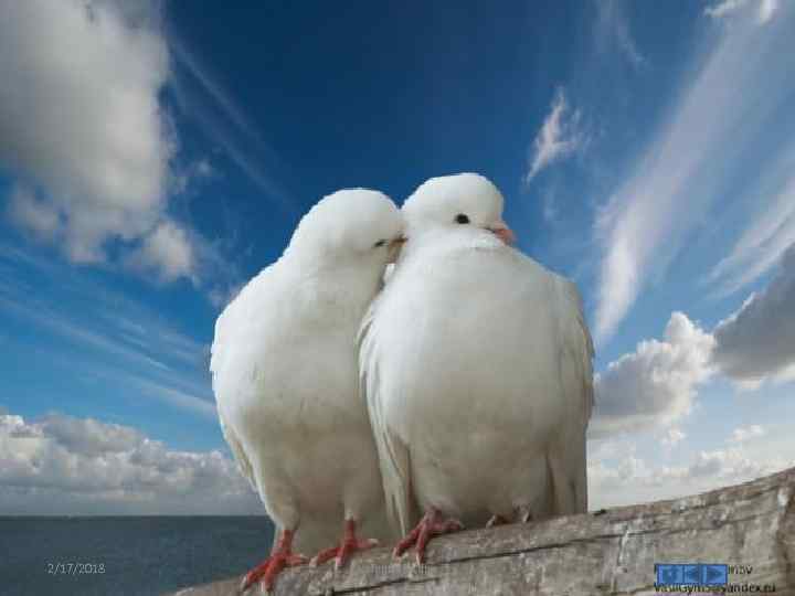 2/17/2018 valentines day 47 