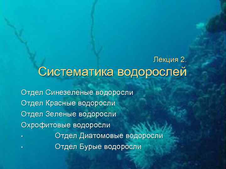 Лекция 2. Систематика водорослей Отдел Синезеленые водоросли Отдел Красные водоросли Отдел Зеленые водоросли Охрофитовые