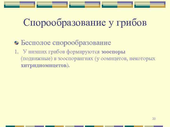 Спорообразование у грибов Бесполое спорообразование 1. У низших грибов формируются зооспоры (подвижные) в зооспорангиях