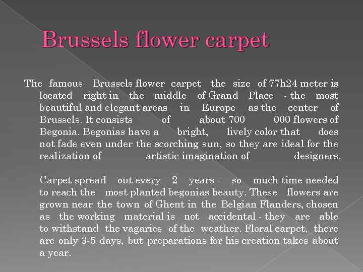 Brussels flower carpet The famous Brussels flower carpet the size of 77 h 24