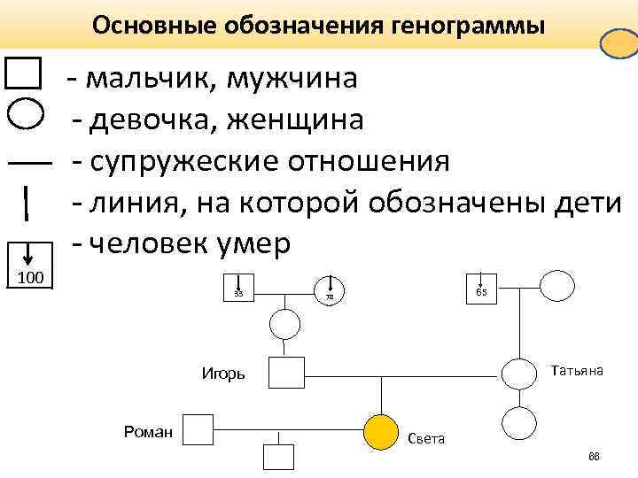 Как составить генограмму семьи схема пример