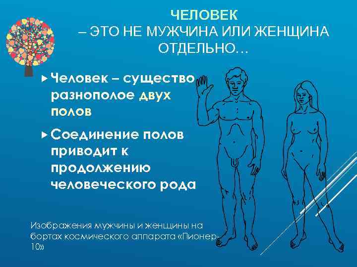 ЧЕЛОВЕК – ЭТО НЕ МУЖЧИНА ИЛИ ЖЕНЩИНА ОТДЕЛЬНО… Человек – существо разнополое двух полов