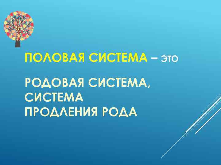 ПОЛОВАЯ СИСТЕМА – ЭТО РОДОВАЯ СИСТЕМА, СИСТЕМА ПРОДЛЕНИЯ РОДА 
