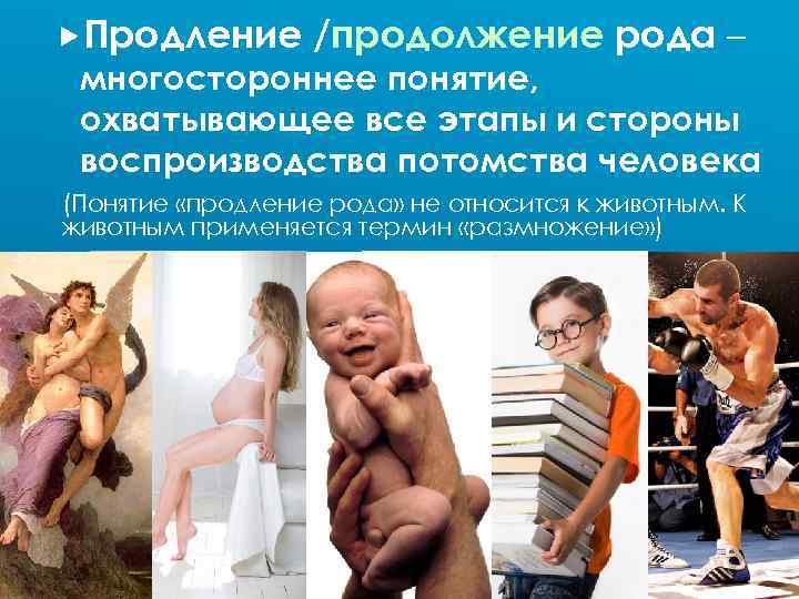  Продление /продолжение рода – многостороннее понятие, охватывающее все этапы и стороны воспроизводства потомства