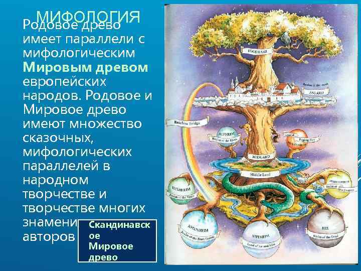 МИФОЛОГИЯ Родовое древо имеет параллели с мифологическим Мировым древом европейских народов. Родовое и Мировое