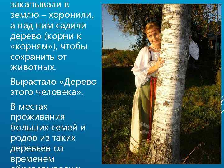 закапывали в землю – хоронили, а над ним садили дерево (корни к «корням» ),