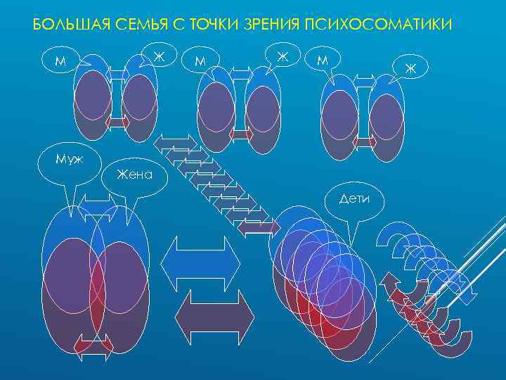 БОЛЬШАЯ СЕМЬЯ С ТОЧКИ ЗРЕНИЯ ПСИХОСОМАТИКИ Ж М М Ж Муж Жена Дети 