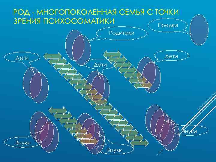 РОД - МНОГОПОКОЛЕННАЯ СЕМЬЯ С ТОЧКИ ЗРЕНИЯ ПСИХОСОМАТИКИ Предки Родители Дети Внуки 