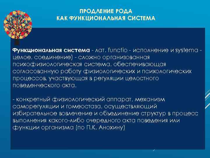 ПРОДЛЕНИЕ РОДА КАК ФУНКЦИОНАЛЬНАЯ СИСТЕМА Функциональная система - лат. functio - исполнение и systema