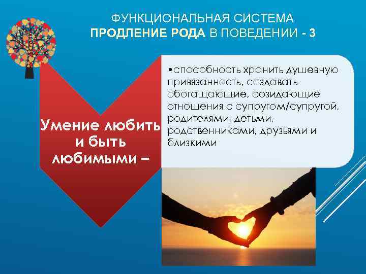 ФУНКЦИОНАЛЬНАЯ СИСТЕМА ПРОДЛЕНИЕ РОДА В ПОВЕДЕНИИ - 3 Умение любить и быть любимыми –