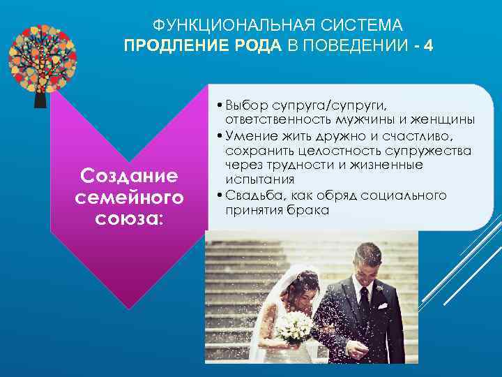 ФУНКЦИОНАЛЬНАЯ СИСТЕМА ПРОДЛЕНИЕ РОДА В ПОВЕДЕНИИ - 4 Создание семейного союза: • Выбор супруга/супруги,