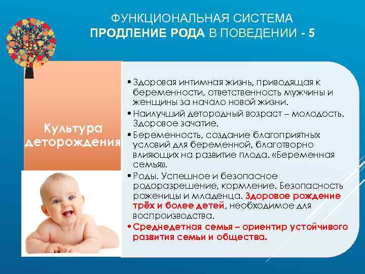 ФУНКЦИОНАЛЬНАЯ СИСТЕМА ПРОДЛЕНИЕ РОДА В ПОВЕДЕНИИ - 5 Культура деторождения • Здоровая интимная жизнь,