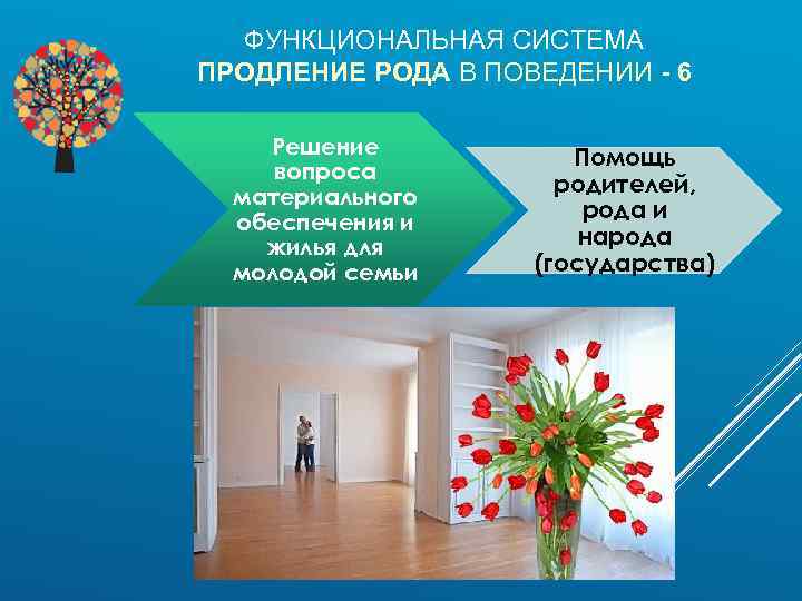 ФУНКЦИОНАЛЬНАЯ СИСТЕМА ПРОДЛЕНИЕ РОДА В ПОВЕДЕНИИ - 6 Решение вопроса материального обеспечения и жилья