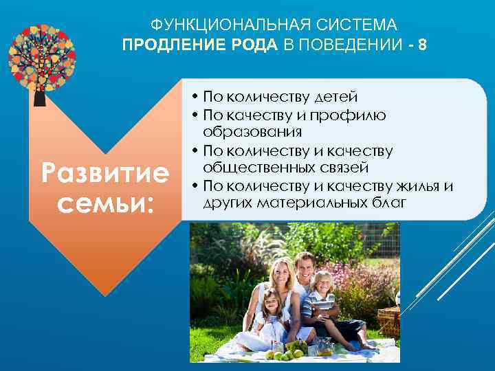 ФУНКЦИОНАЛЬНАЯ СИСТЕМА ПРОДЛЕНИЕ РОДА В ПОВЕДЕНИИ - 8 Развитие семьи: • По количеству детей