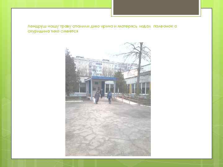 Лендруш нашу траву спалили дико крича и матерясь издал палеонок а скуридина тихо смеется