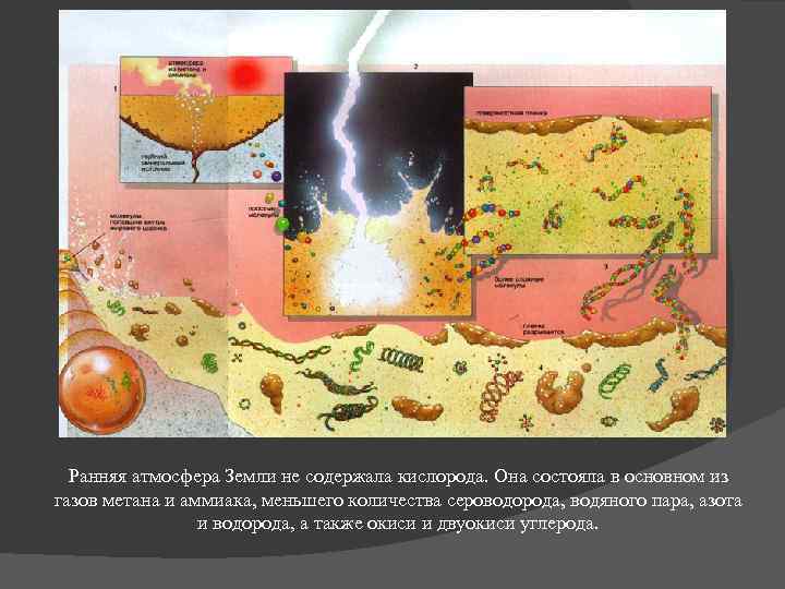 Ранняя атмосфера Земли не содержала кислорода. Она состояла в основном из газов метана и