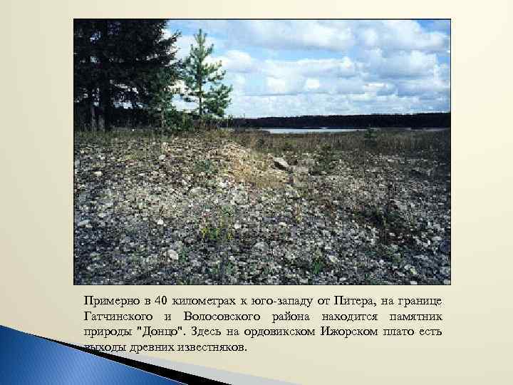 Примерно в 40 километрах к юго-западу от Питера, на границе Гатчинского и Волосовского района