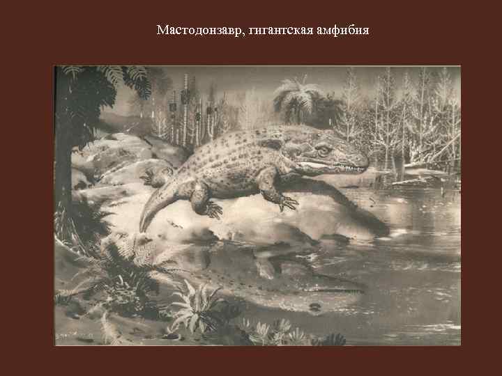 Мастодонзавр, гигантская амфибия 