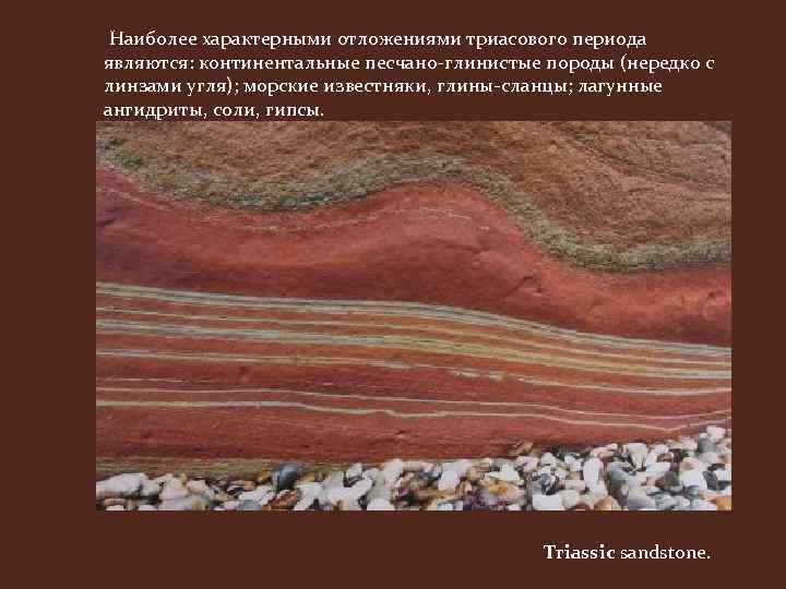 Континентальное месторождение. Песчано глинистые породы. Триасовые отложения. Континентальные отложения. Песчано глинистые отложения.