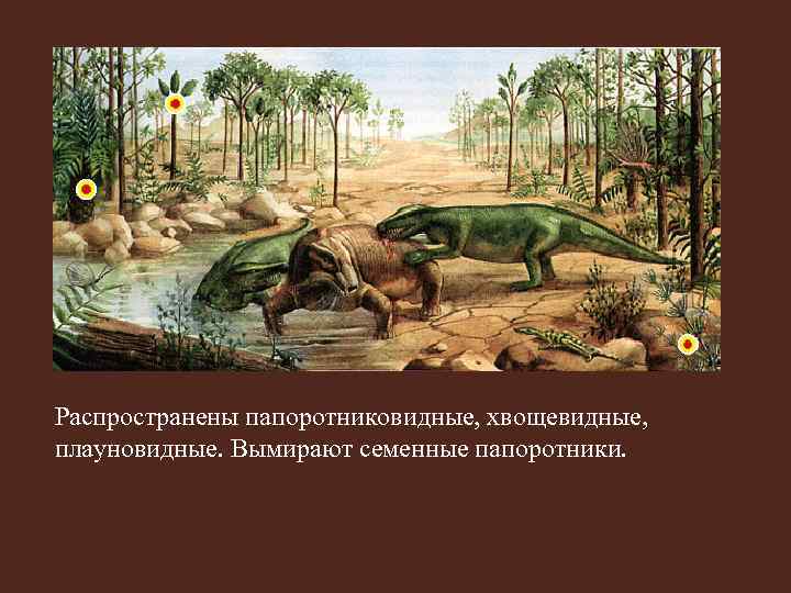 Распространены папоротниковидные, хвощевидные, плауновидные. Вымирают семенные папоротники. 