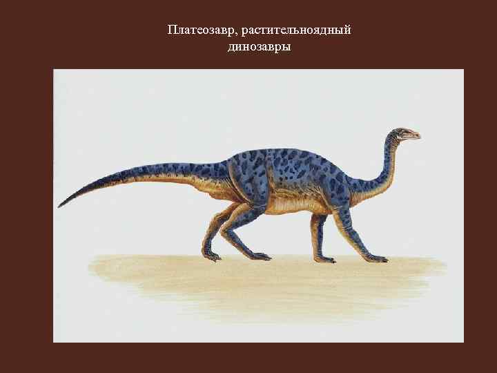 Платеозавр, растительноядный динозавры 