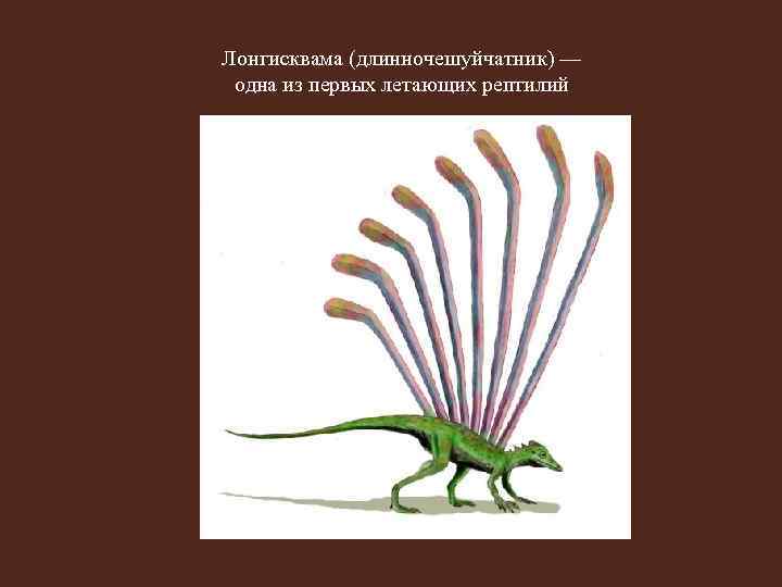 Лонгисквама (длинночешуйчатник) — одна из первых летающих рептилий 