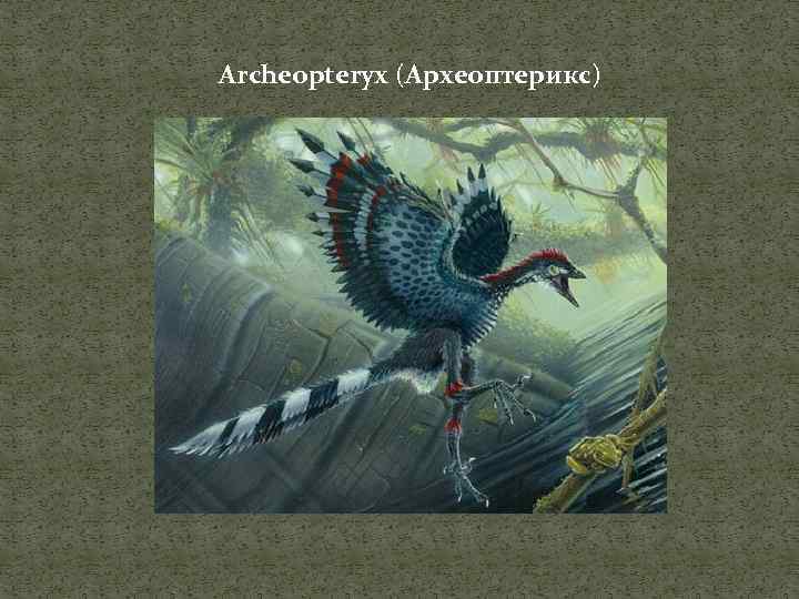 Archeopteryx (Археоптерикс) 