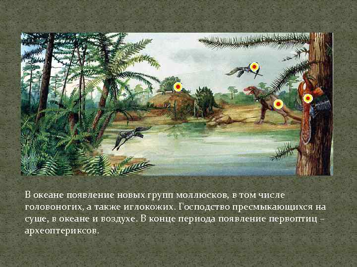 В океане появление новых групп моллюсков, в том числе головоногих, а также иглокожих. Господство