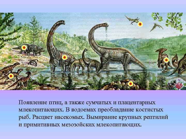 Появление пресмыкающихся эра. Мезозойская Эра растения. Меловой период млекопитающие животные. Расцвет динозавров появление. Меловой период презентация.