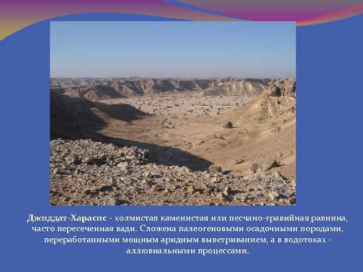 Джиддат-Харасис - холмистая каменистая или песчано-гравийная равнина, часто пересеченная вади. Сложена палеогеновыми осадочными породами,