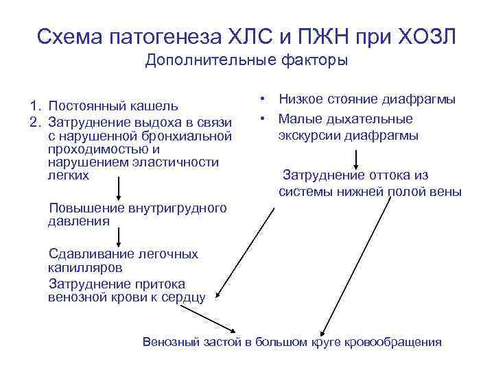 Схема патогенеза ХЛС и ПЖН при ХОЗЛ Дополнительные факторы 1. Постоянный кашель 2. Затруднение