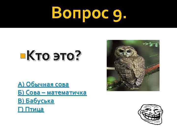Вопрос 9. Кто это? А) Обычная сова Б) Сова – математичка В) Бабуська Г)