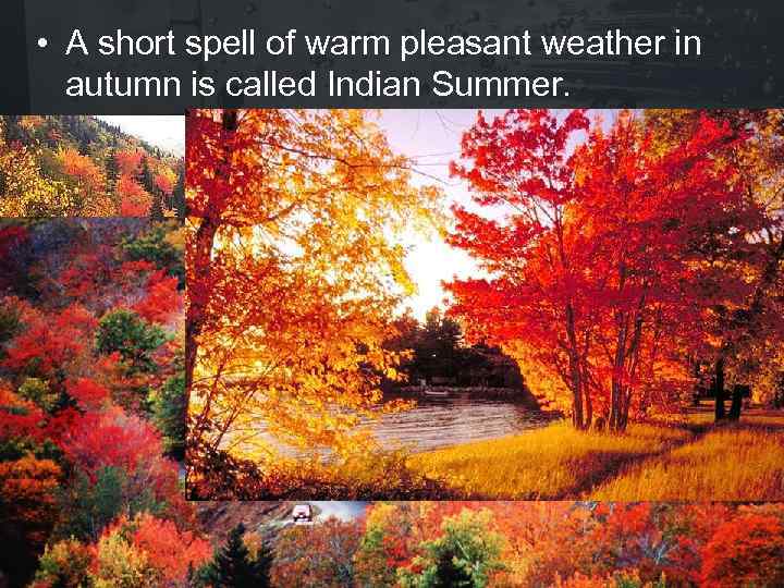  • A short spell of warm pleasant weather in autumn is called Indian