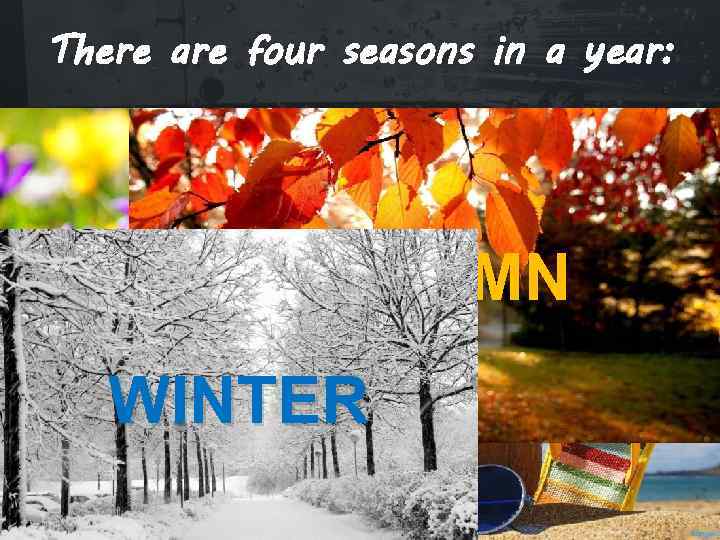 There are four seasons in a year: AUTUMN SPRING WINTER SUMMER 