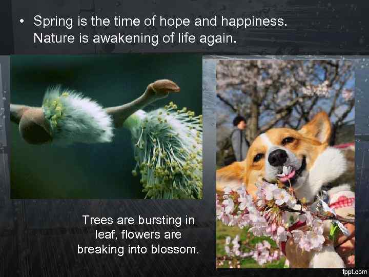  • Spring is the time of hope and happiness. Nature is awakening of