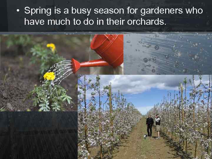  • Spring is a busy season for gardeners who have much to do