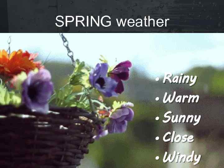 SPRING weather • Rainy • Warm • Sunny • Close • Windy 