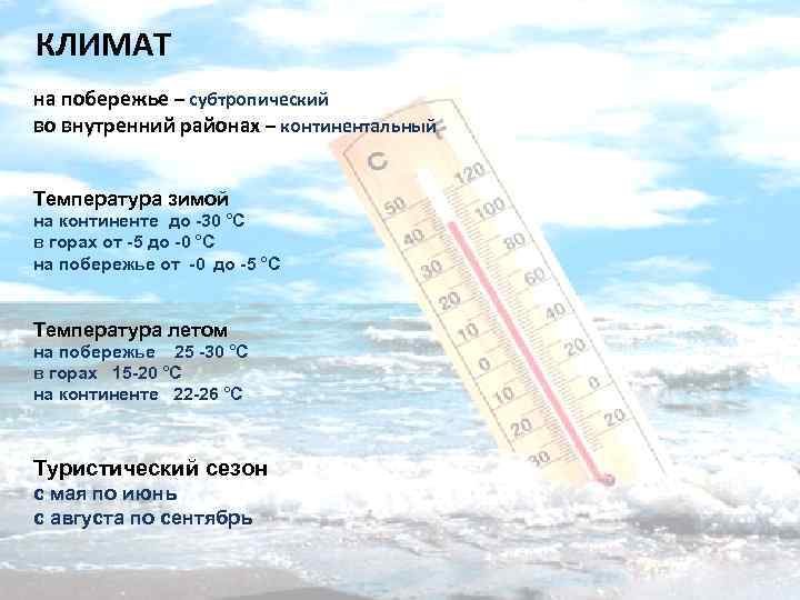 КЛИМАТ на побережье – субтропический во внутренний районах – континентальный Температура зимой на континенте