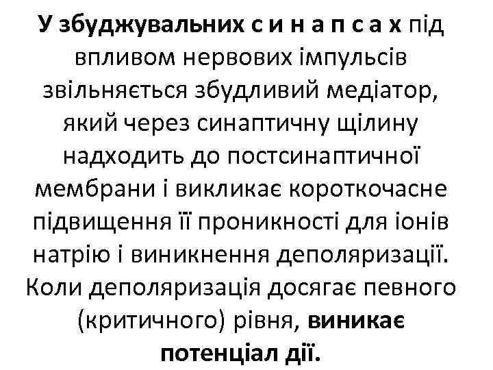 У збуджувальних с и н а п с а х під впливом нервових імпульсів