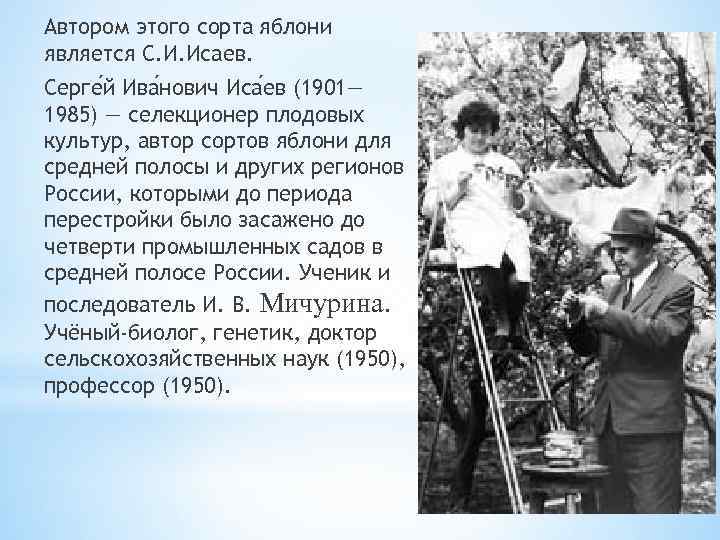 Автором этого сорта яблони является С. И. Исаев. Серге й Ива нович Иса ев