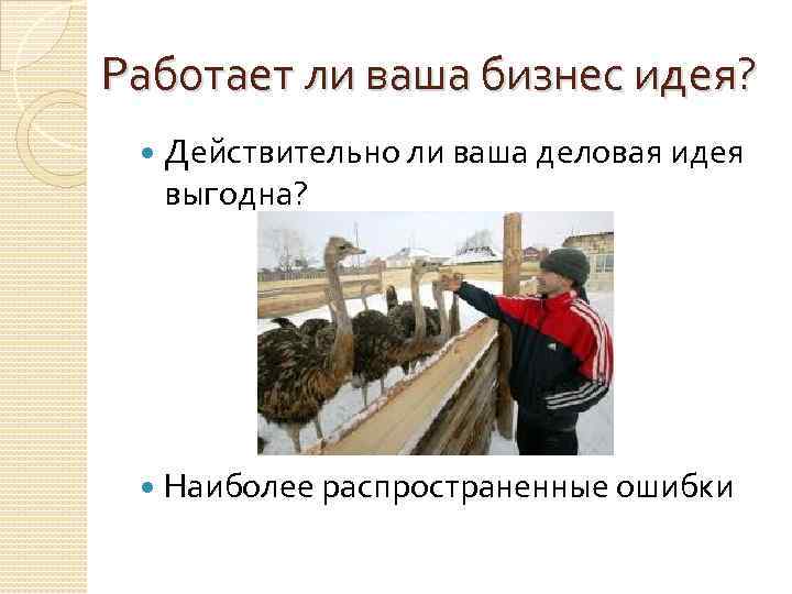 Работает ли ваша бизнес идея? Действительно ли ваша деловая идея выгодна? Наиболее распространенные ошибки