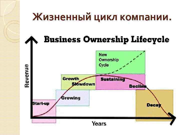 Жизненный цикл компании. 