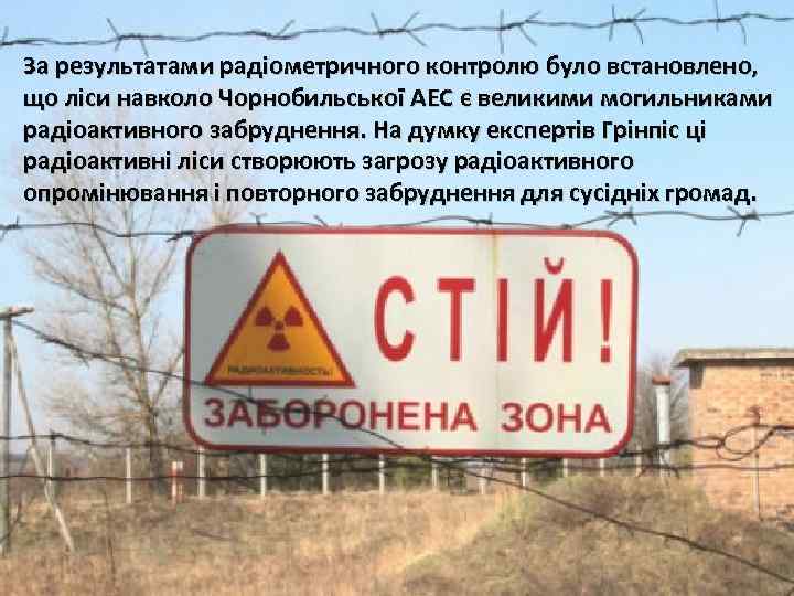 За результатами радіометричного контролю було встановлено, що ліси навколо Чорнобильської АЕС є великими могильниками